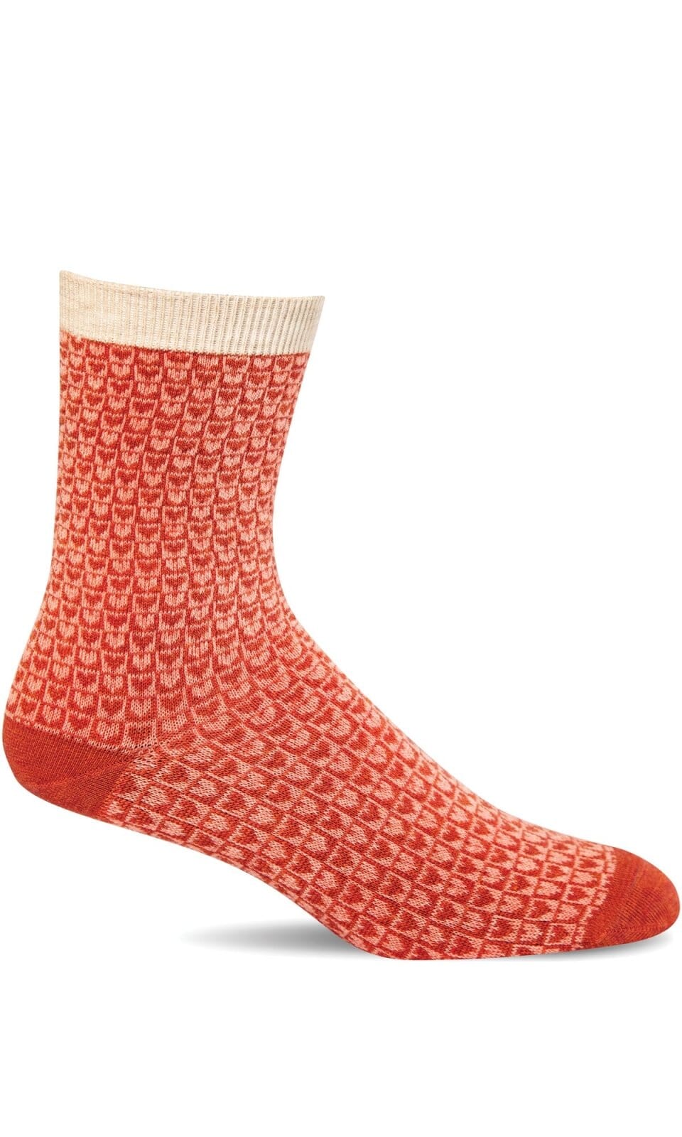New for Fall 2024